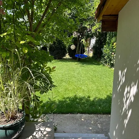 Kisvirag Vendeghaz *