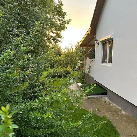 Kisvirag Vendeghaz * Balatonvilágos