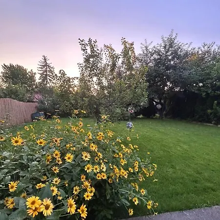 Kisvirag Vendeghaz Semesterbostad *