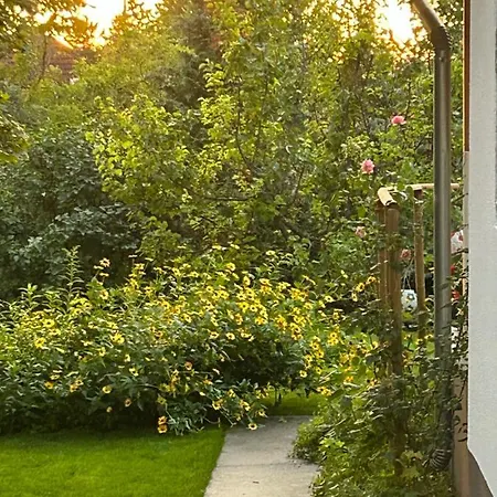 Ferienhaus Kisvirag Vendeghaz *