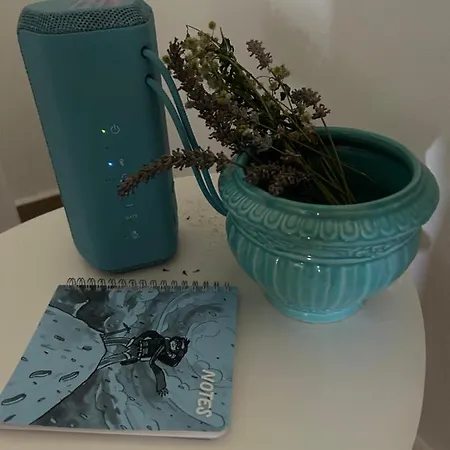 Kisvirag Vendeghaz Semesterbostad Balatonvilágos