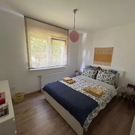 Kisvirag Vendeghaz * Balatonvilágos