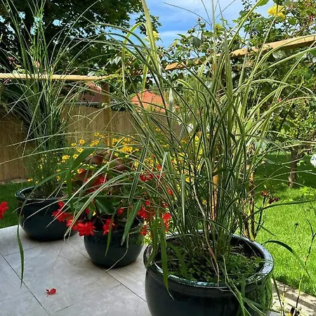 Kisvirag Vendeghaz Ferienhaus *