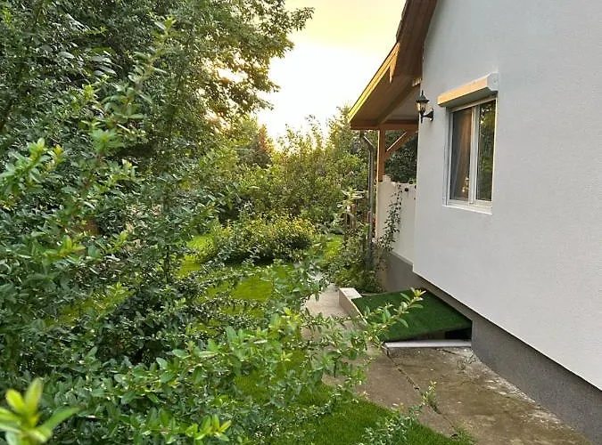 Kisvirag Vendeghaz * Balatonvilágos