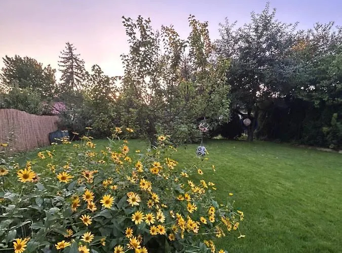 Kisvirag Vendeghaz 度假居 *