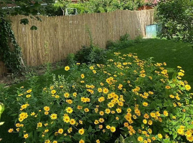 Kisvirag Vendeghaz 度假居 Balatonvilágos