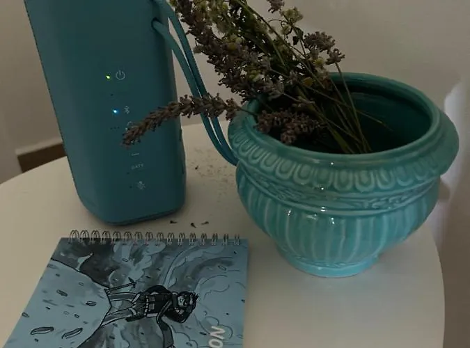 Kisvirag Vendeghaz 度假居 Balatonvilágos