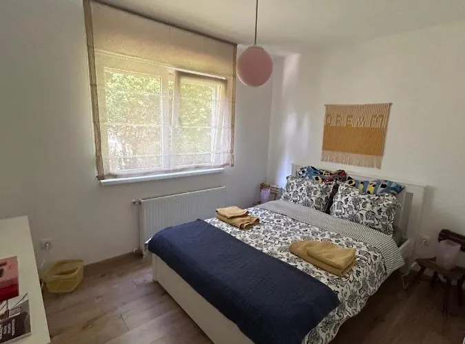 Kisvirag Vendeghaz * Balatonvilágos