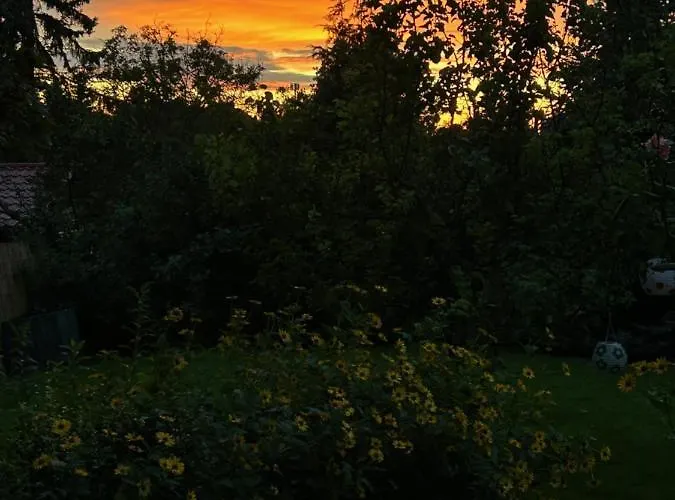 度假居 Kisvirag Vendeghaz Balatonvilágos